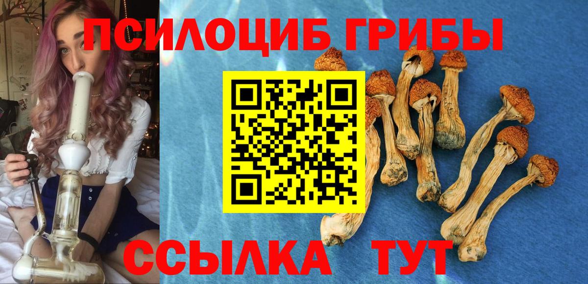 Тула  Псилоцибиновые грибы MAGIC MUSHROOMS  Вход с VPN  Галлюциногенные грибы Psilocybine cubensis 